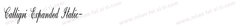 Calligri Expanded Italic字体转换